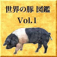 世界の豚　図鑑　Vol.1