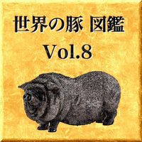 世界の豚　図鑑　Vol.8