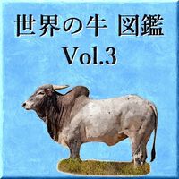 世界の牛　図鑑　Vol.3