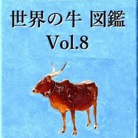 世界の牛　図鑑　Vol.8