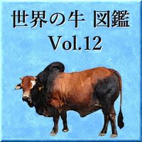 世界の牛　図鑑　Vol.12