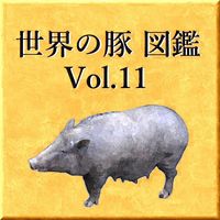 世界の豚　図鑑　Vol.11