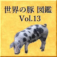 世界の豚　図鑑　Vol.13