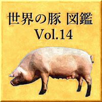 世界の豚　図鑑　Vol.14
