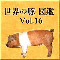 世界の豚　図鑑　Vol.16