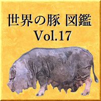 世界の豚　図鑑　Vol.17