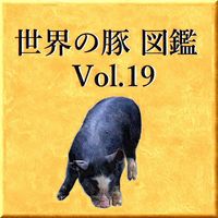 世界の豚　図鑑　Vol.19