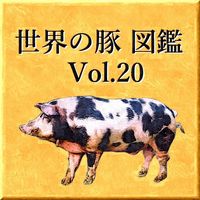 世界の豚　図鑑　Vol.20