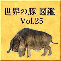 世界の豚　図鑑　Vol.25