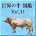 世界の牛　図鑑　Vol.11